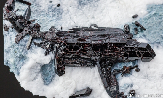 Benitoite with Neptunite from Gem Mine, San Benito Co., California, USA [db_pics/pics/LL557e.jpg]