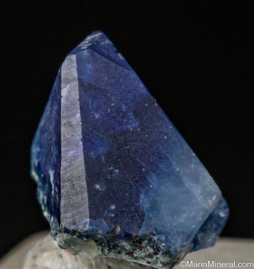 Benitoite from Gem Mine, San Benito Co., California, USA [db_pics/pics/LL559c.jpg]