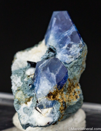 Benitoite with Neptunite from Gem Mine, San Benito Co., California, USA [db_pics/pics/LL565a.jpg]