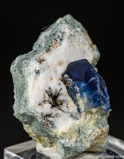 Benitoite from Gem Mine, San Benito Co., California, USA [db_pics/pics/LL568c.jpg]