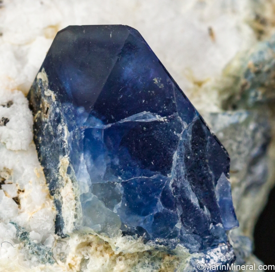 Benitoite from Gem Mine, San Benito Co., California, USA [db_pics/pics/LL568d.jpg]