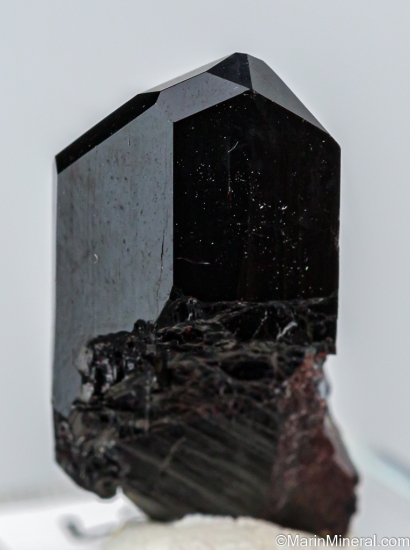 Neptunite from Gem Mine, San Benito Co., California, USA [db_pics/pics/LL569e.jpg]