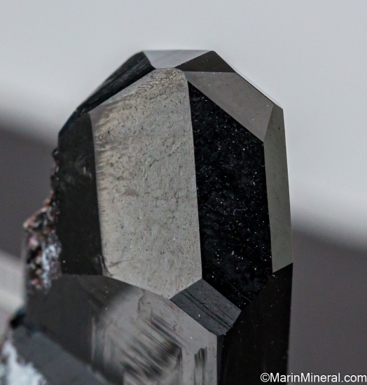 Neptunite from Gem Mine, San Benito Co., California, USA [db_pics/pics/LL569f.jpg]