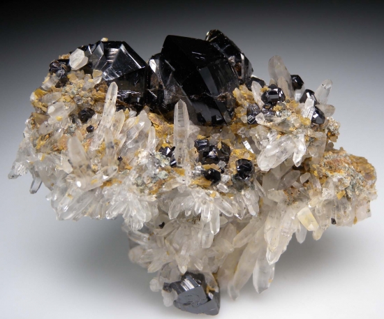 Cassiterite on Quartz from Viloco Mine, Loayza Province, La Paz, Bolivia [db_pics/pics/LL584a.jpg]