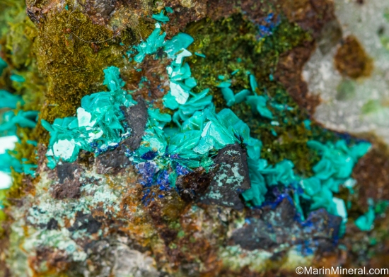 Chalcophyllite from Copper Stope, Majuba Hill Mine, Pershing Co., Nevada, USA [db_pics/pics/LL585d.jpg]