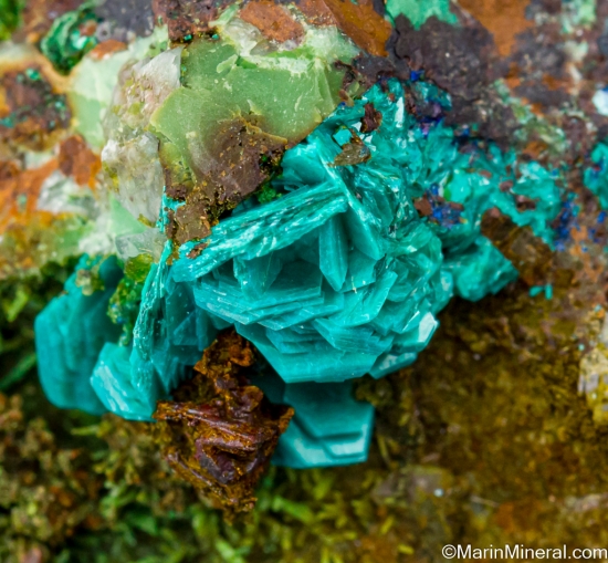Chalcophyllite from Copper Stope, Majuba Hill Mine, Pershing Co., Nevada, USA [db_pics/pics/LL585f.jpg]
