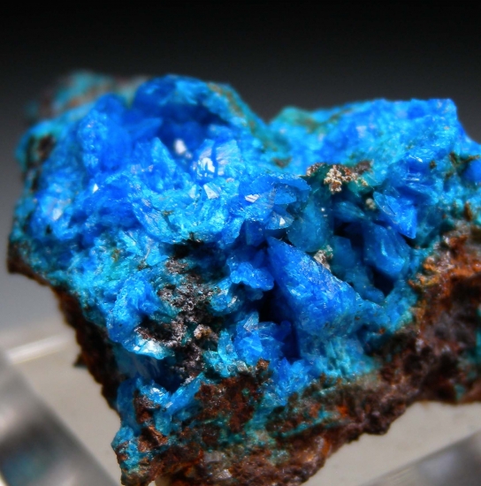 Liroconite from Wheal Gorland, St. Day, Cornwall, England [db_pics/pics/LL591g.jpg]