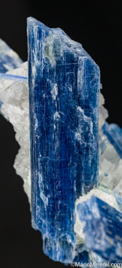Kyanite from Minas Gerais, Brazil [db_pics/pics/LL593e.jpg]