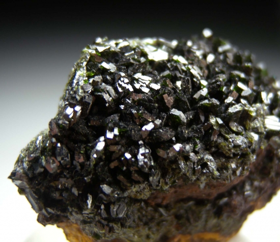 Olivenite from Copper Stope, Majuba Hill Mine, Pershing Co., Nevada, USA [db_pics/pics/LL662c.jpg]