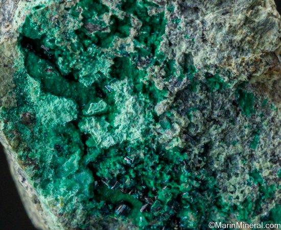 Clinoclase with Cornubite from Majuba Hill Mine, Pershing Co., Nevada, USA [db_pics/pics/LL665d.jpg]