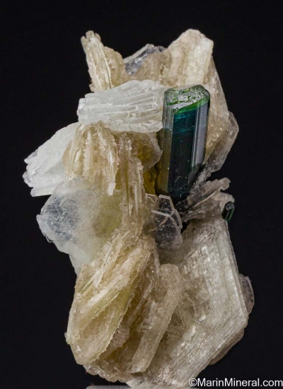 Indicolite with Muscovite from Dassu, Braldu Valley, Skardu, Pakistan [db_pics/pics/LL673a.jpg]