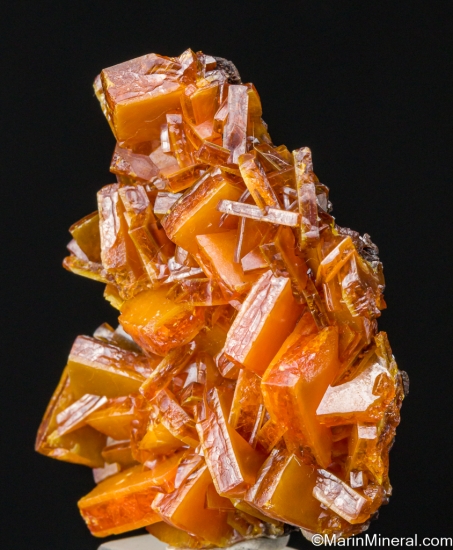 Wulfenite from Los Lamentos, Chihuahua, Mexico [db_pics/pics/LL674b.jpg]