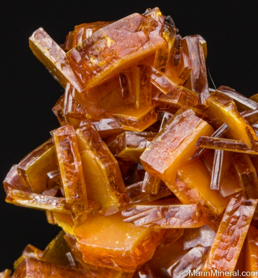 Wulfenite from Los Lamentos, Chihuahua, Mexico [db_pics/pics/LL674c.jpg]