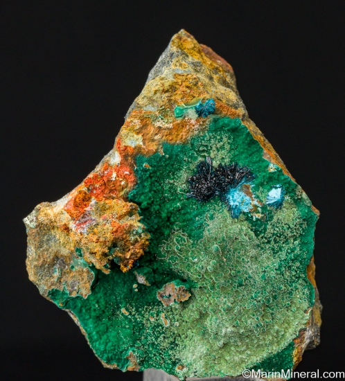 Clinoclase on Cornubite from Tin Stope, Majuba Hill Mine, Pershing Co., Nevada, USA [db_pics/pics/LL693a.jpg]