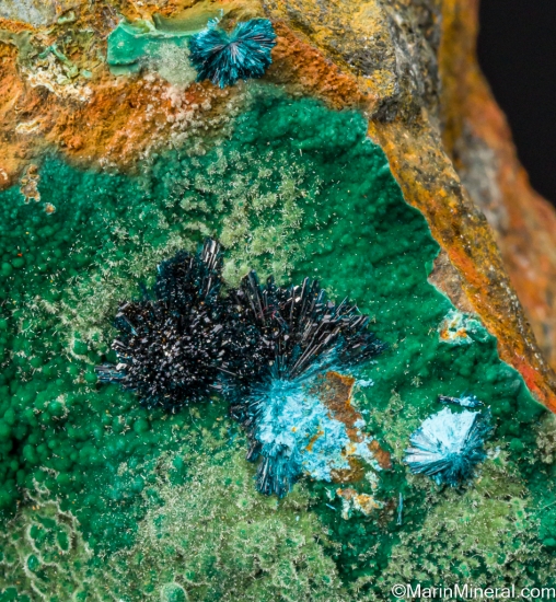 Clinoclase on Cornubite from Tin Stope, Majuba Hill Mine, Pershing Co., Nevada, USA [db_pics/pics/LL693c.jpg]