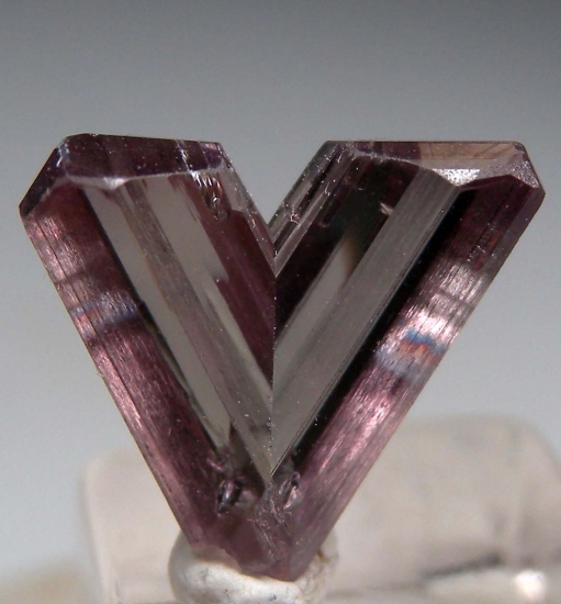 Diaspore from Pinarcik, Mugla Prov., Turkey [db_pics/pics/LL716b.jpg]