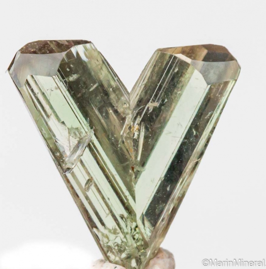 Diaspore from Pinarcik, Mugla Prov., Turkey [db_pics/pics/LL721a.jpg]