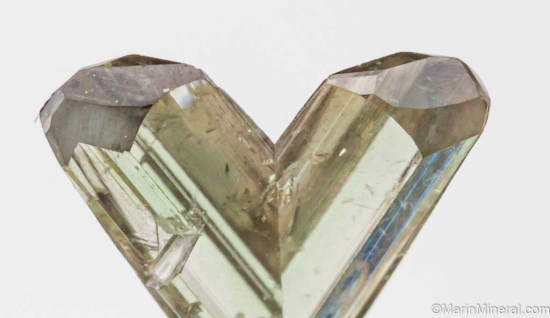 Diaspore from Pinarcik, Mugla Prov., Turkey [db_pics/pics/LL721c.jpg]