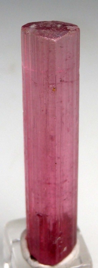 Tourmaline from Himalaya Mine, Mesa Grande, San Diego Co., California, USA [db_pics/pics/LL737b.jpg]