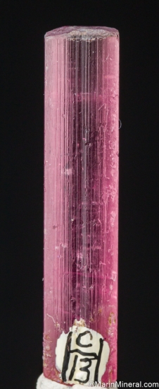 Tourmaline from Himalaya Mine, Mesa Grande, San Diego Co., California, USA [db_pics/pics/LL737c.jpg]