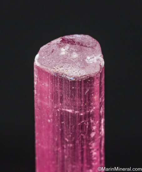 Tourmaline from Himalaya Mine, Mesa Grande, San Diego Co., California, USA [db_pics/pics/LL737d.jpg]
