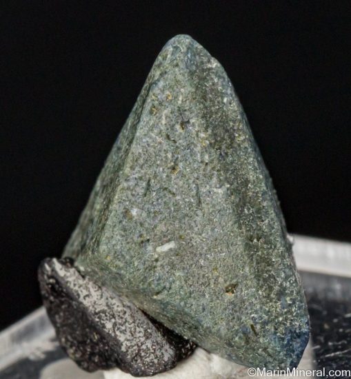 Benitoite from Gem Mine, San Benito Co., California, USA [db_pics/pics/LL738d.jpg]