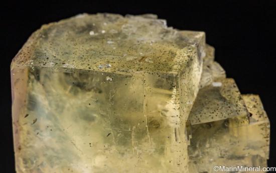 Chalcopyrite in Fluorite from Wet Grooves Mine, Askrigg, Wensleydale, North Yorkshire, England [db_pics/pics/LL740d.jpg]