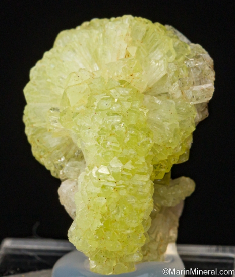 Adamite from Mina Ojuela, Mapimi, Durango, Mexico [db_pics/pics/LL743a.jpg]