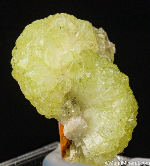 Adamite from Mina Ojuela, Mapimi, Durango, Mexico [db_pics/pics/LL743c.jpg]