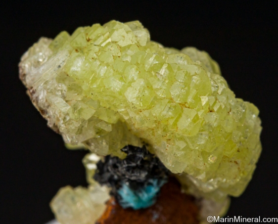 Adamite from Mina Ojuela, Mapimi, Durango, Mexico [db_pics/pics/LL743d.jpg]
