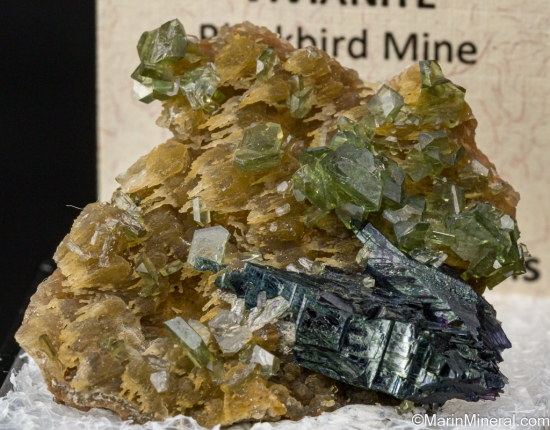 Ludlamite and Vivianite on Siderite from Blackbird Mine, Lemhi Co., Idaho, USA [db_pics/pics/LL746a.jpg]