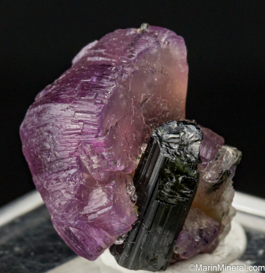 Apatite with Tourmaline from Galilea, Minas Gerais, Brazil [db_pics/pics/LL747b.jpg]