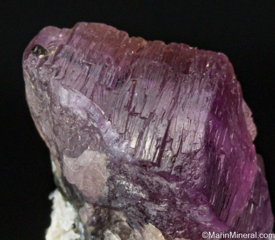 Apatite with Tourmaline from Galilea, Minas Gerais, Brazil [db_pics/pics/LL747c.jpg]