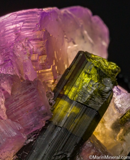 Apatite with Tourmaline from Galilea, Minas Gerais, Brazil [db_pics/pics/LL747d.jpg]