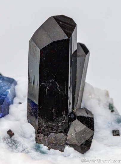 Benitoite with Neptunite from Gem Mine, San Benito Co., California, USA [db_pics/pics/LL806d.jpg]