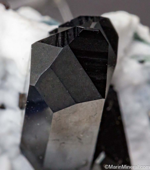 Benitoite with Neptunite from Gem Mine, San Benito Co., California, USA [db_pics/pics/LL806g.jpg]