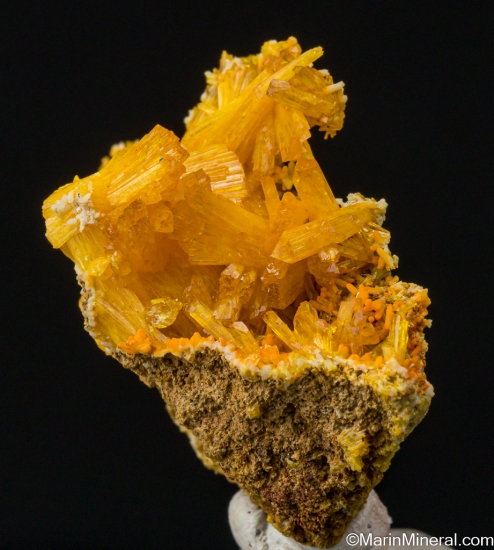 Legrandite from Mina Ojuela, Mapimi, Durango, Mexico [db_pics/pics/LL807b.jpg]