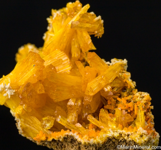 Legrandite from Mina Ojuela, Mapimi, Durango, Mexico [db_pics/pics/LL807e.jpg]