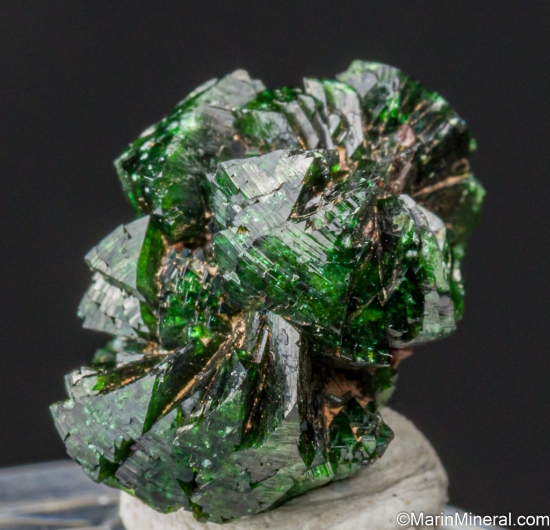 Zincolivenite (Cuprian Adamite) from Tsumeb, Namibia [db_pics/pics/LL809c.jpg]