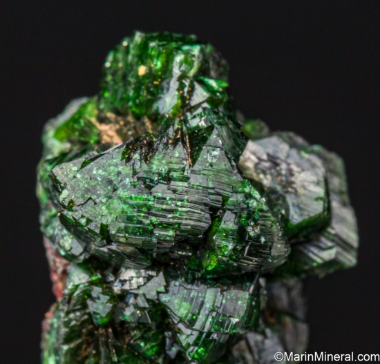Zincolivenite (Cuprian Adamite) from Tsumeb, Namibia [db_pics/pics/LL809d.jpg]