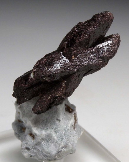 Neptunite (twin) from Gem Mine, San Benito Co., California, USA [db_pics/pics/LL815a.jpg]