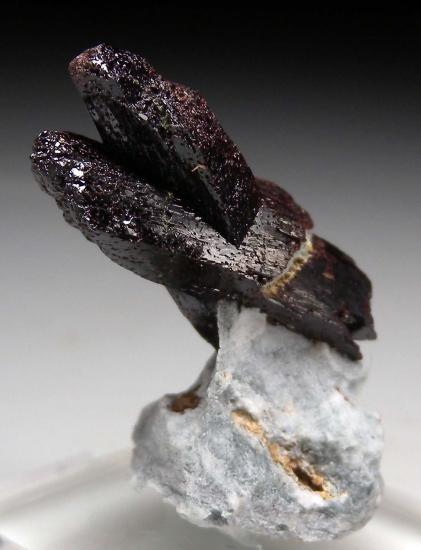 Neptunite (twin) from Gem Mine, San Benito Co., California, USA [db_pics/pics/LL815b.jpg]