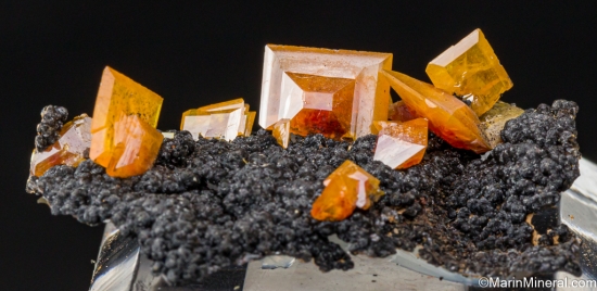 Wulfenite on Mottramite from 79 Mine, Gila Co., Arizona, USA [db_pics/pics/LL818a.jpg]