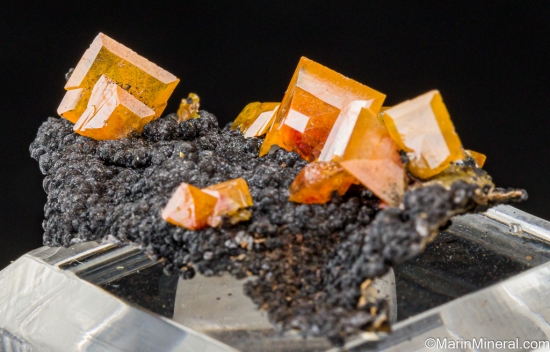 Wulfenite on Mottramite from 79 Mine, Gila Co., Arizona, USA [db_pics/pics/LL818b.jpg]