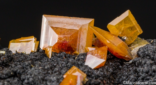 Wulfenite on Mottramite from 79 Mine, Gila Co., Arizona, USA [db_pics/pics/LL818c.jpg]