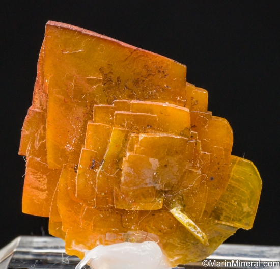 Wulfenite from Defiance Mine, Gleeson, Cochise County, Arizona, USA [db_pics/pics/LL820c.jpg]