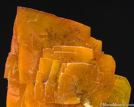 Wulfenite from Defiance Mine, Gleeson, Cochise County, Arizona, USA [db_pics/pics/LL820d.jpg]