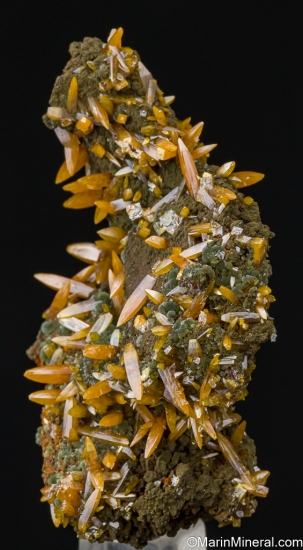 Wulfenite with Mimetite from Mina Ojuela, Mapimi, Durango, Mexico [db_pics/pics/LL836b.jpg]