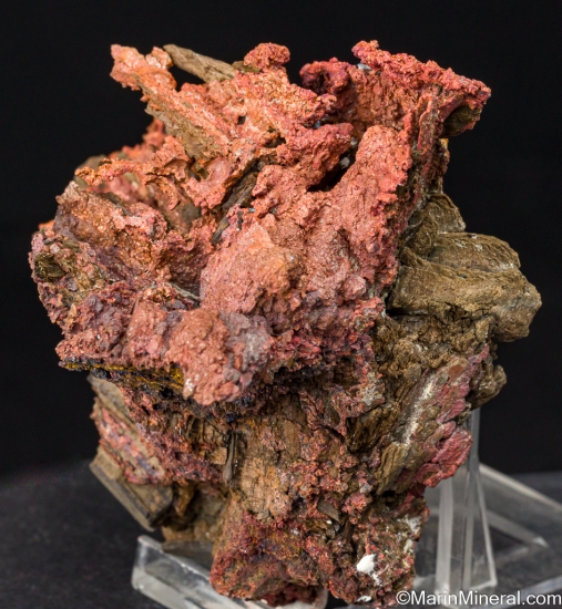 Copper on Mine Timbers from Ray Mine, Pinal Co., Arizona, USA [db_pics/pics/LL840c.jpg]