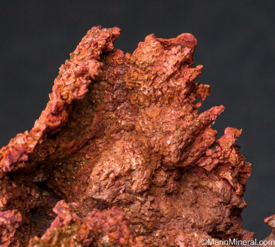 Copper on Mine Timbers from Ray Mine, Pinal Co., Arizona, USA [db_pics/pics/LL840e.jpg]